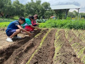Villa Amistad Fields